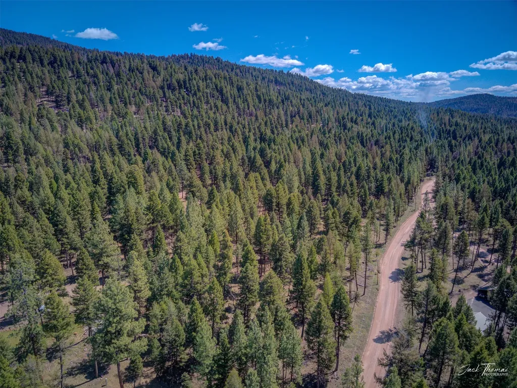 1050 Grandview Drive Seeley Lake MT 59868