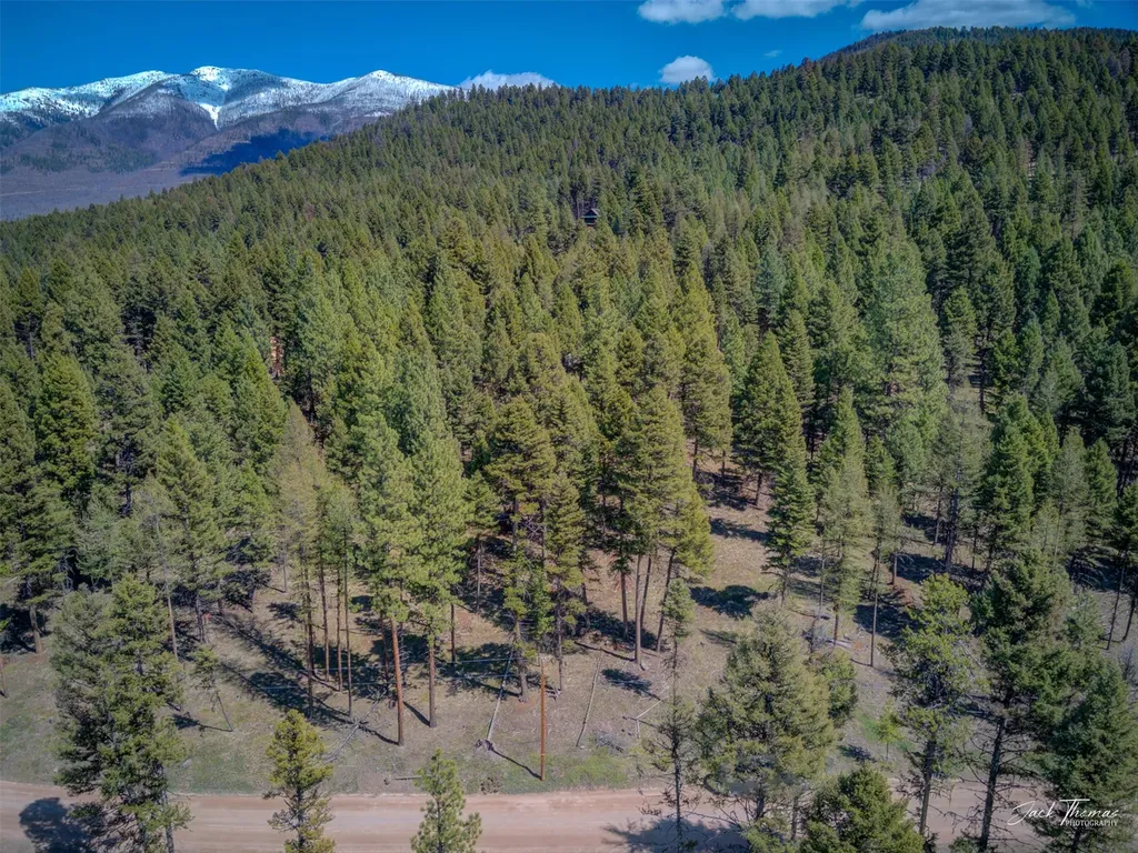 1050 Grandview Drive Seeley Lake MT 59868
