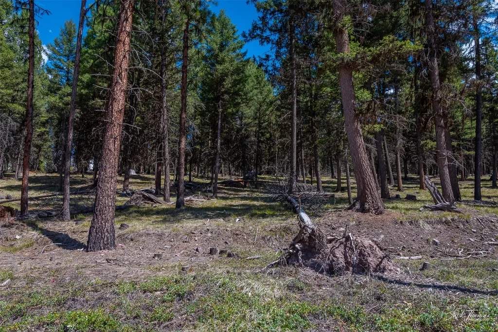 1050 Grandview Drive Seeley Lake MT 59868