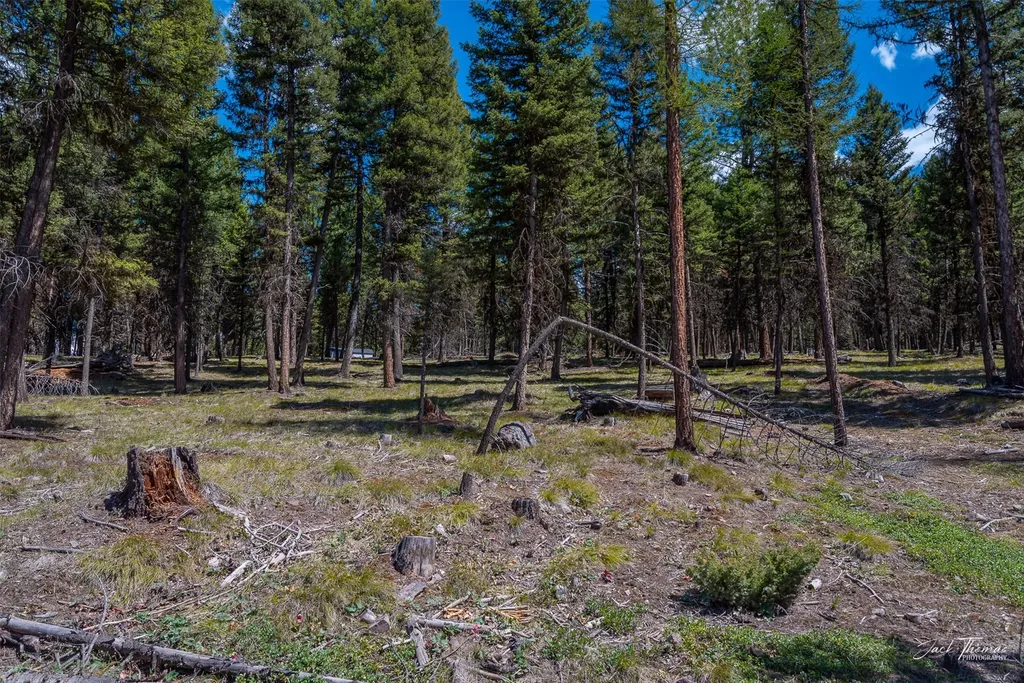 1050 Grandview Drive Seeley Lake MT 59868