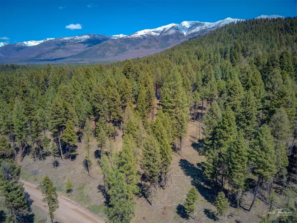 1050 Grandview Drive Seeley Lake MT 59868