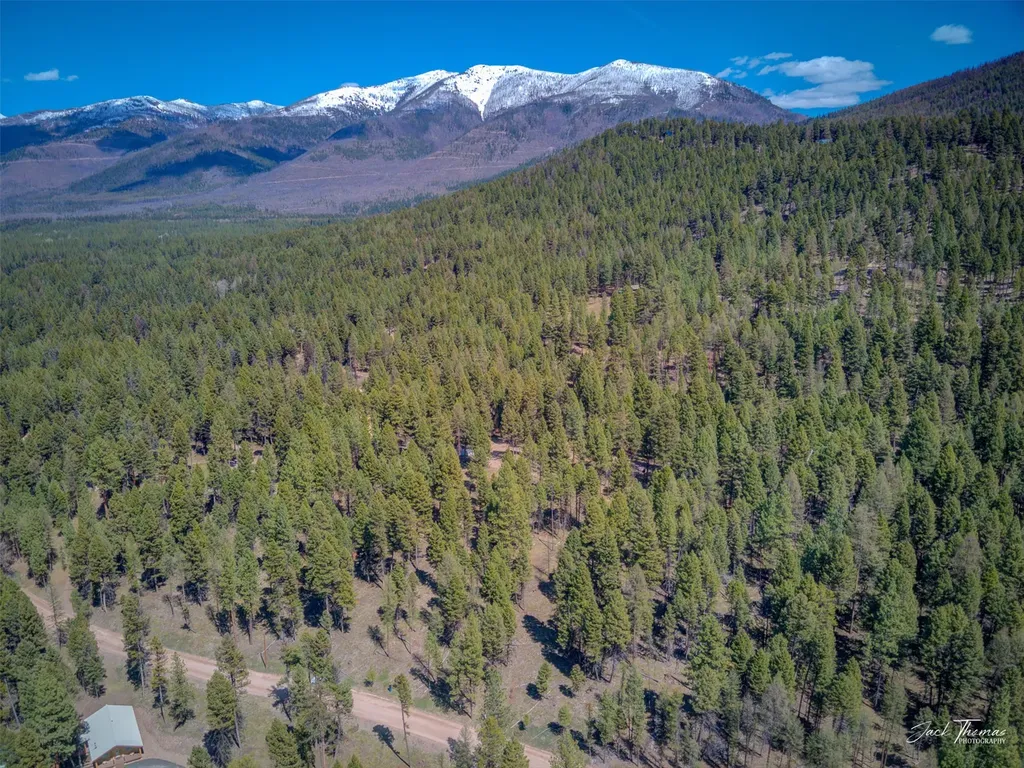 1050 Grandview Drive Seeley Lake MT 59868