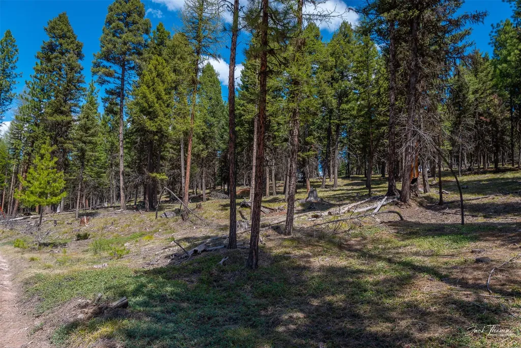 1050 Grandview Drive Seeley Lake MT 59868