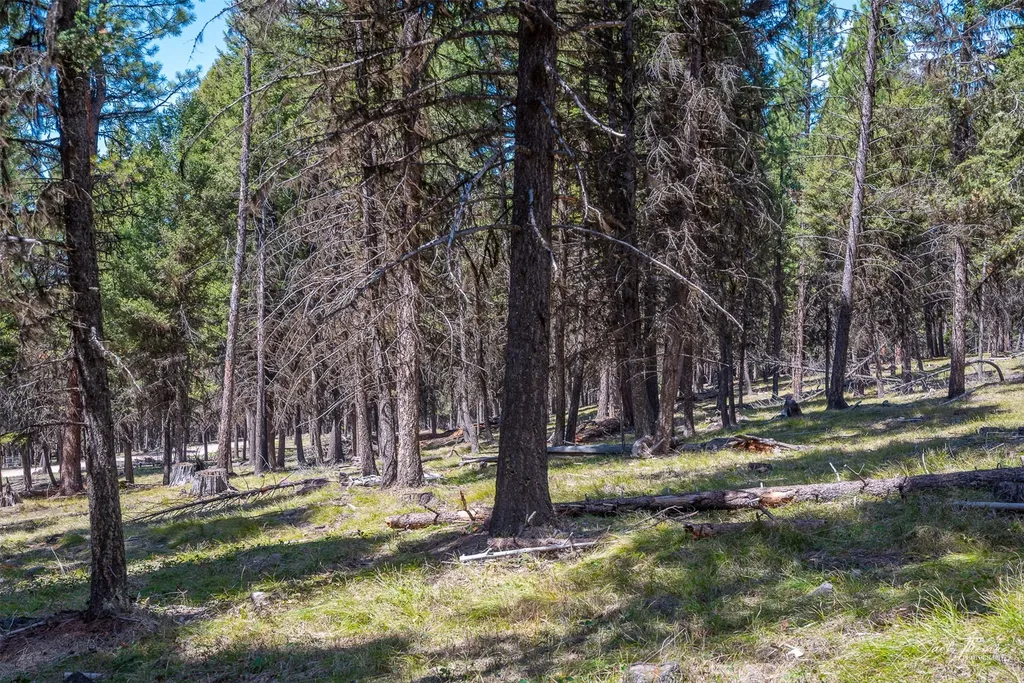 1050 Grandview Drive Seeley Lake MT 59868