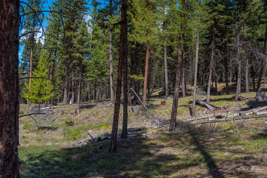1050 Grandview Drive Seeley Lake MT 59868