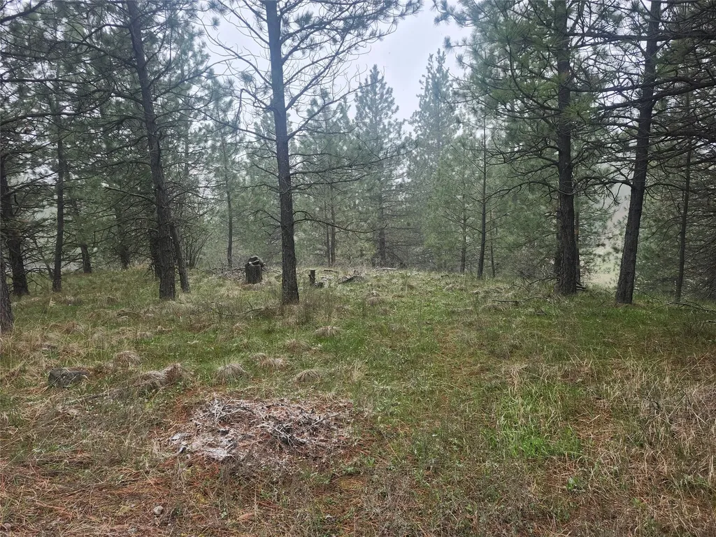 31009 Canyon View Place Polson MT 59860