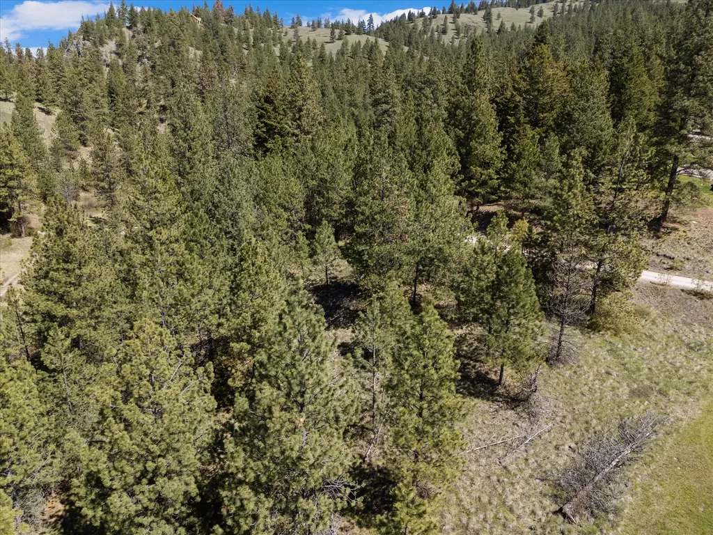 31009 Canyon View Place Polson MT 59860