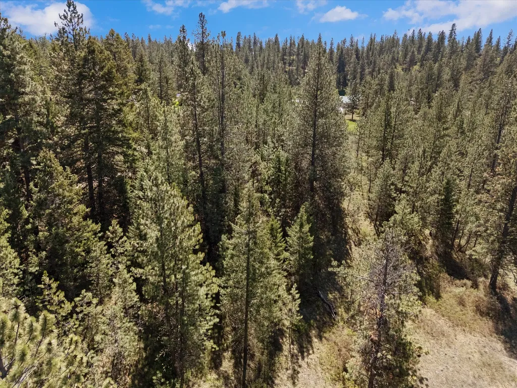 31009 Canyon View Place Polson MT 59860