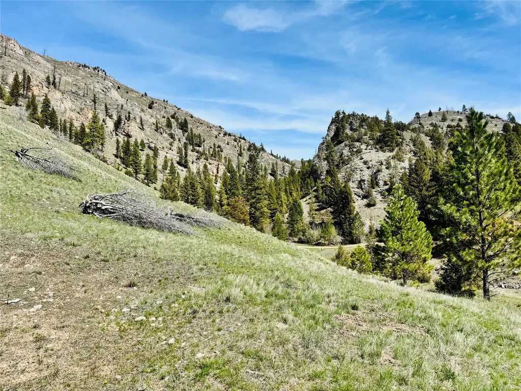 31 Packer Gulch Road Drummond MT 59832