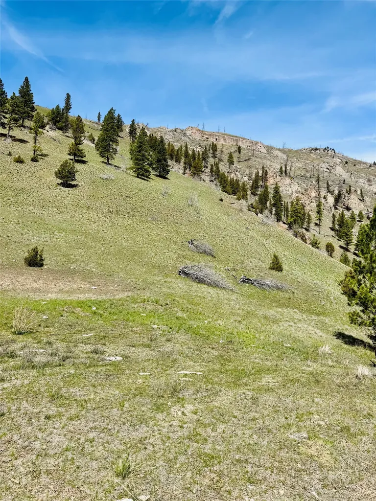 31 Packer Gulch Road Drummond MT 59832