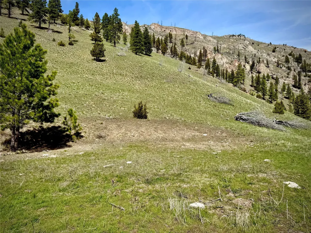 31 Packer Gulch Road Drummond MT 59832