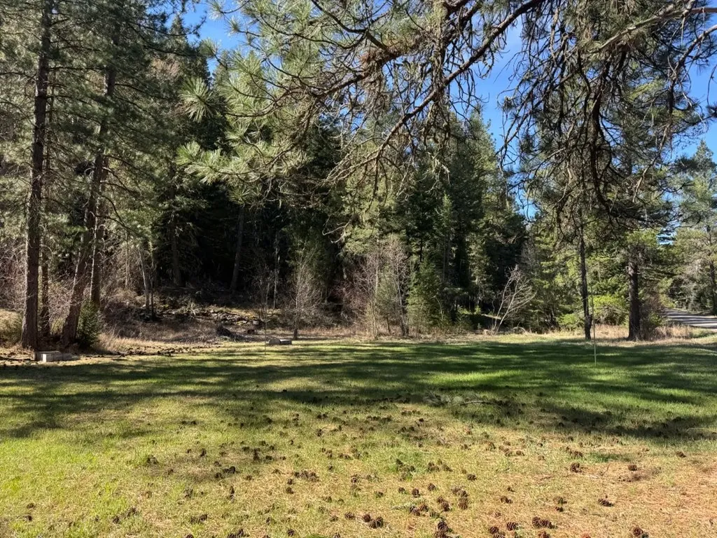 1036 Rock Creek Road Clinton MT 59825