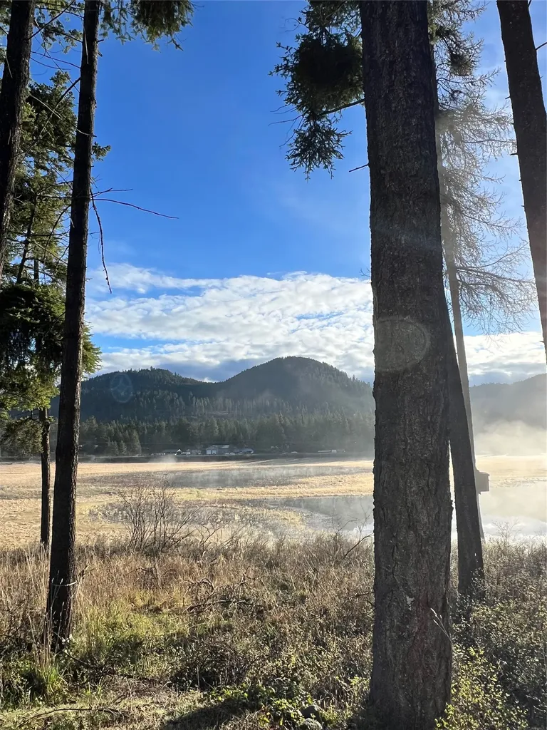 33608 Hilltop Terrace Bigfork MT 59911