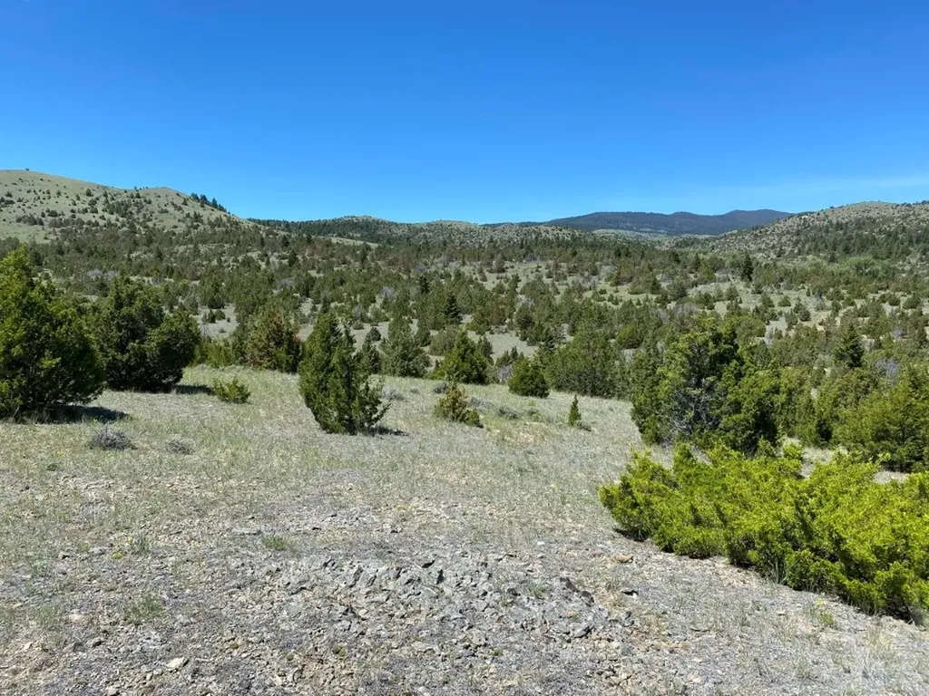17 Keating Gulch Road Townsend MT 59644