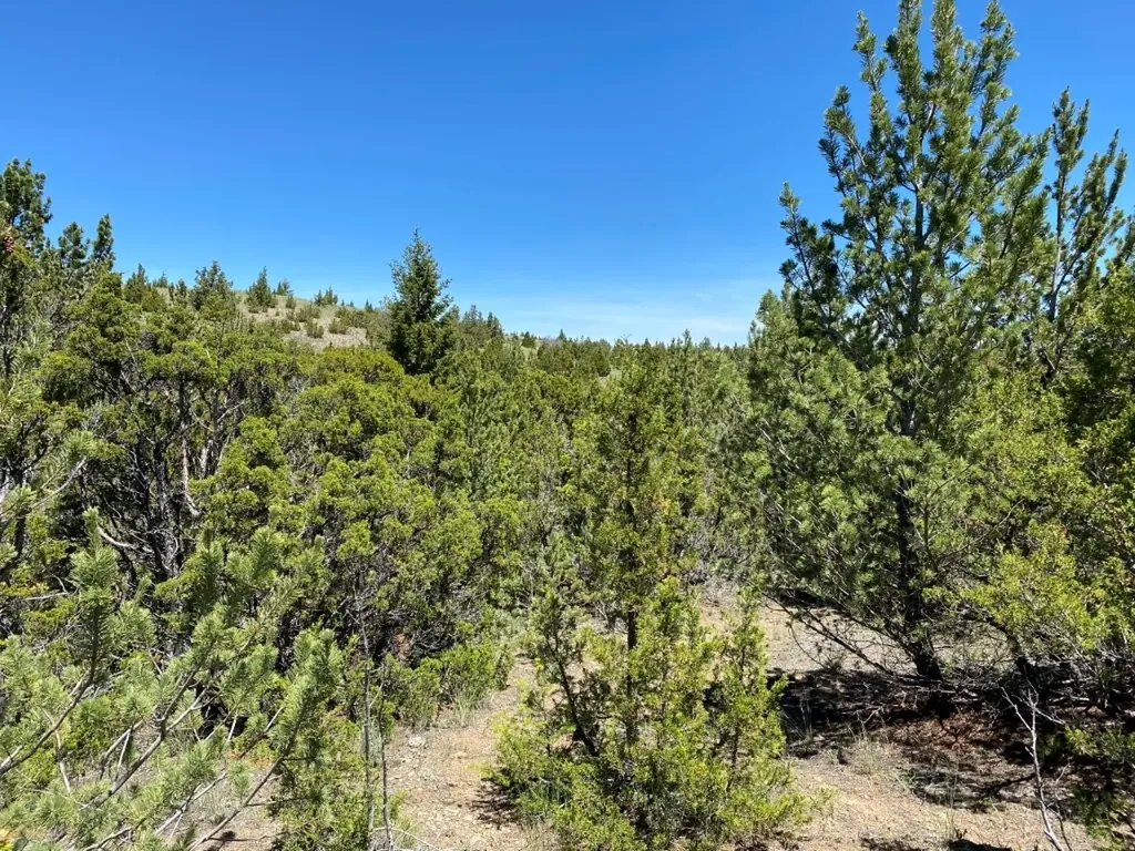 17 Keating Gulch Road Townsend MT 59644