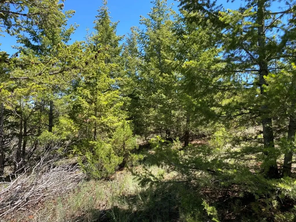 17 Keating Gulch Road Townsend MT 59644