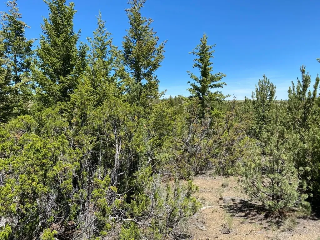 17 Keating Gulch Road Townsend MT 59644