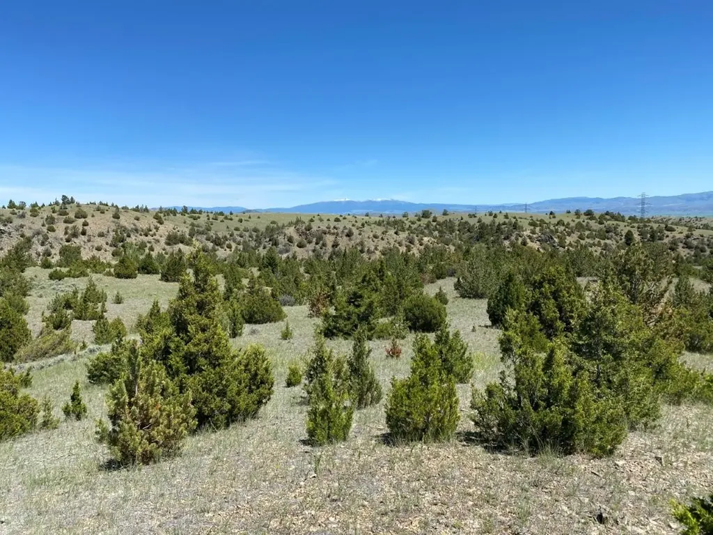 17 Keating Gulch Road Townsend MT 59644