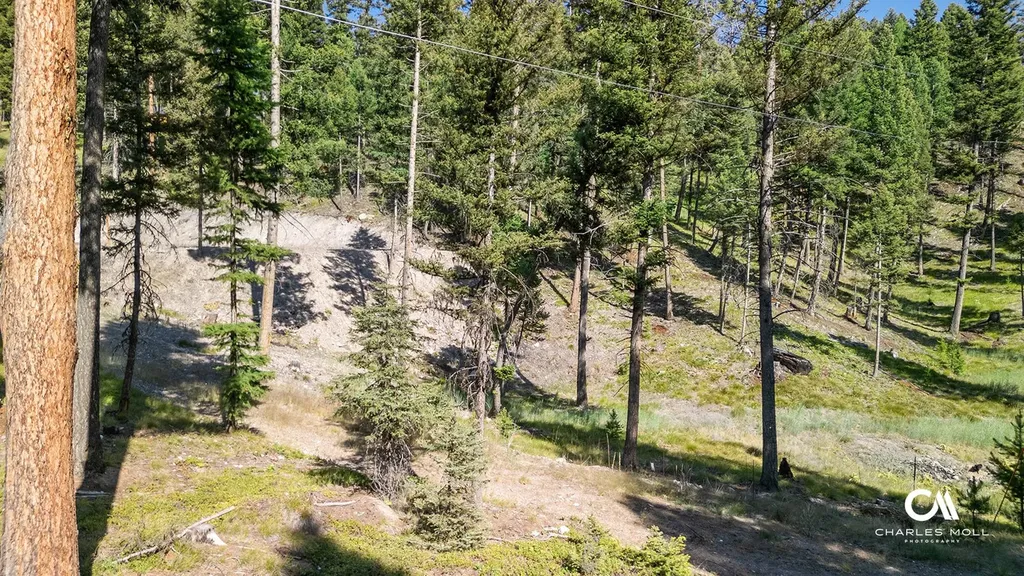 170 Leota Peak Court Seeley Lake MT 59868