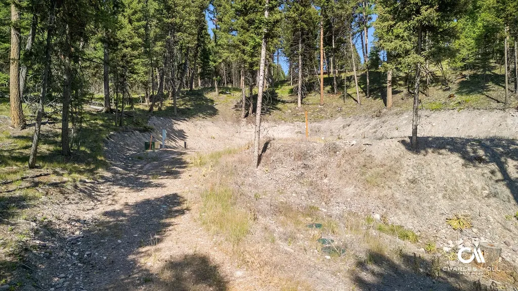 170 Leota Peak Court Seeley Lake MT 59868