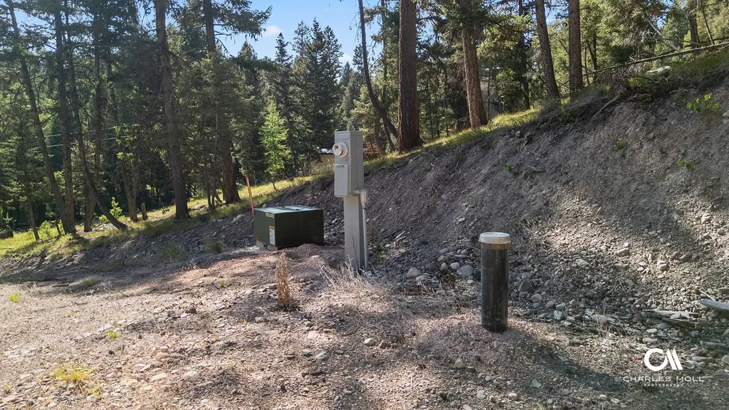 170 Leota Peak Court Seeley Lake MT 59868