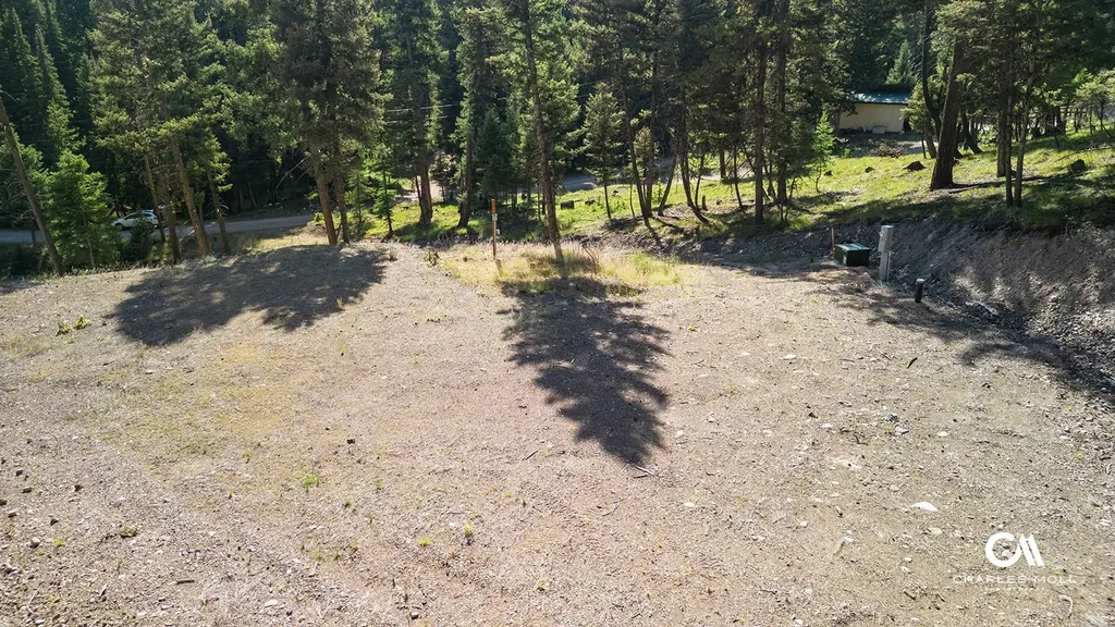 170 Leota Peak Court Seeley Lake MT 59868