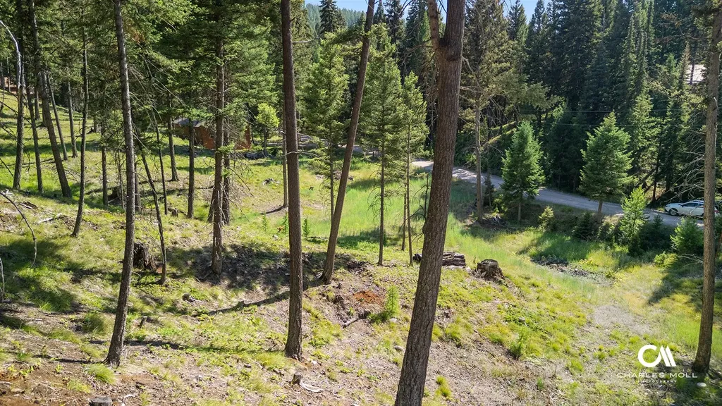 170 Leota Peak Court Seeley Lake MT 59868