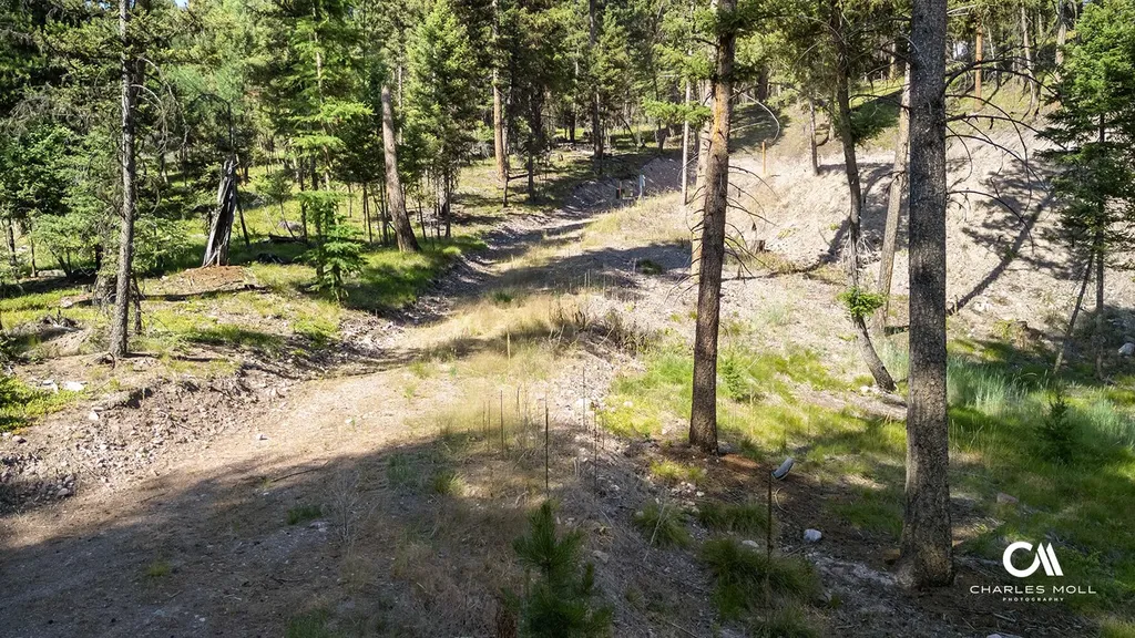 170 Leota Peak Court Seeley Lake MT 59868