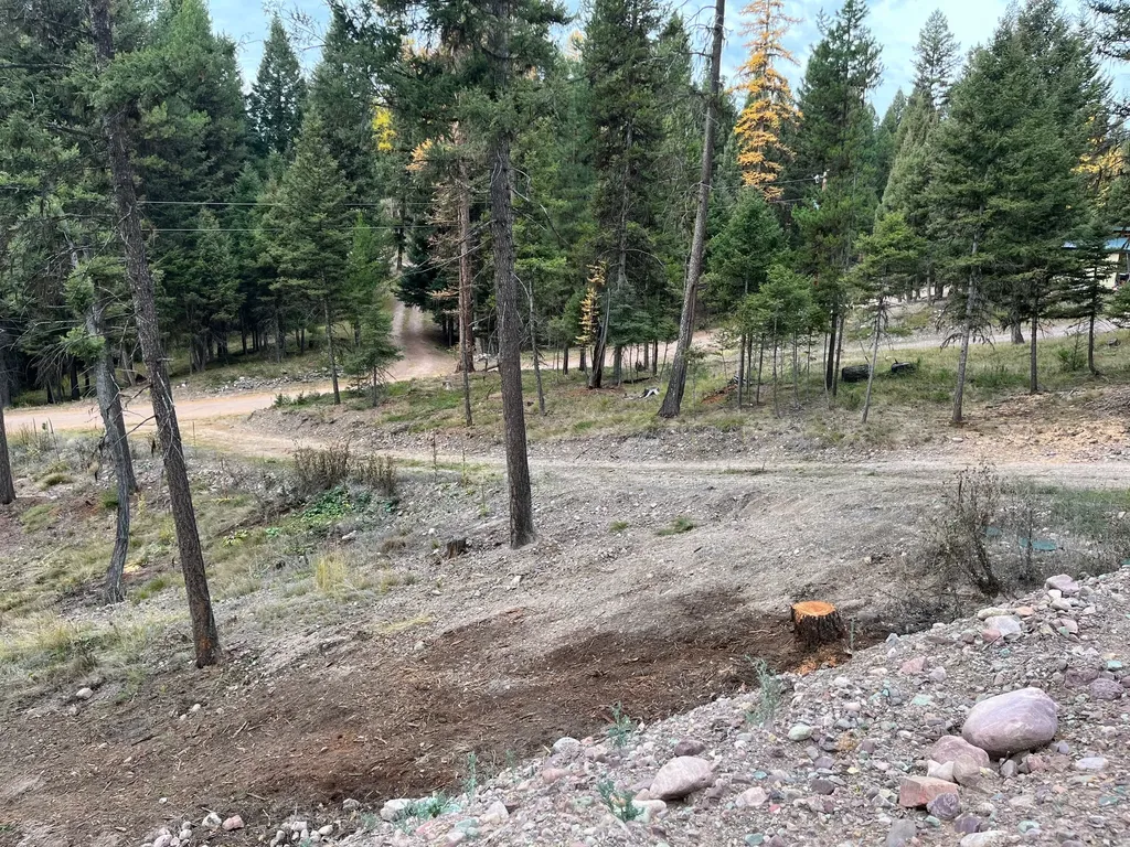 170 Leota Peak Court Seeley Lake MT 59868
