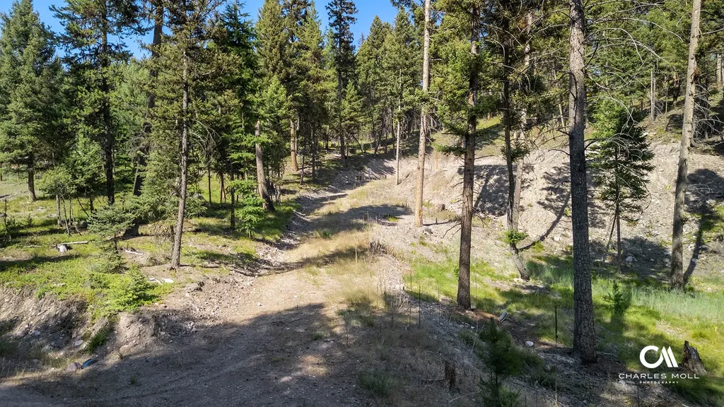 170 Leota Peak Court Seeley Lake MT 59868