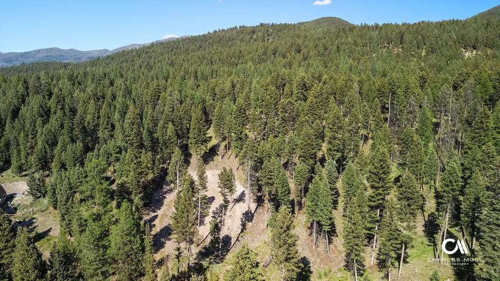 170 Leota Peak Court Seeley Lake MT 59868