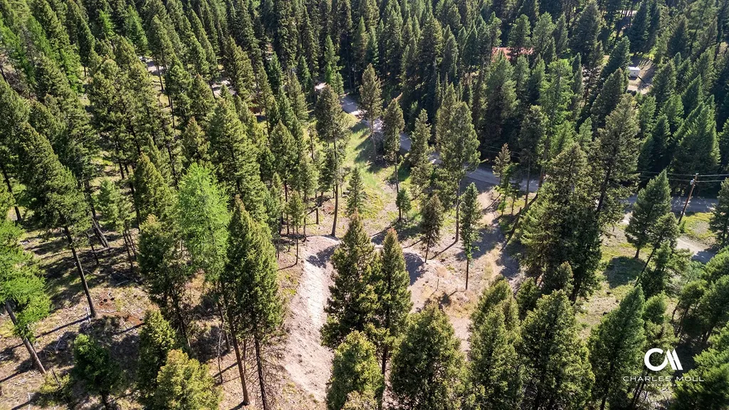 170 Leota Peak Court Seeley Lake MT 59868