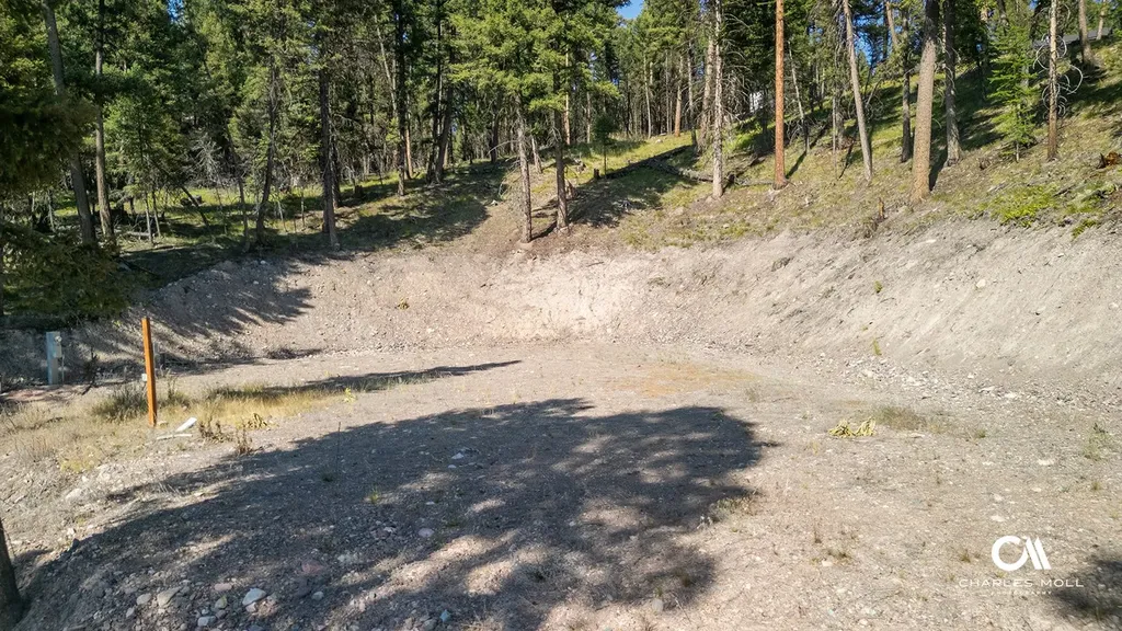 170 Leota Peak Court Seeley Lake MT 59868