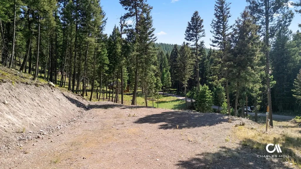 170 Leota Peak Court Seeley Lake MT 59868