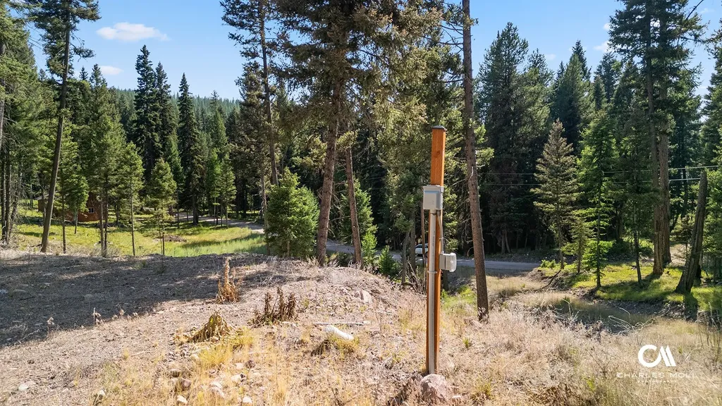 170 Leota Peak Court Seeley Lake MT 59868