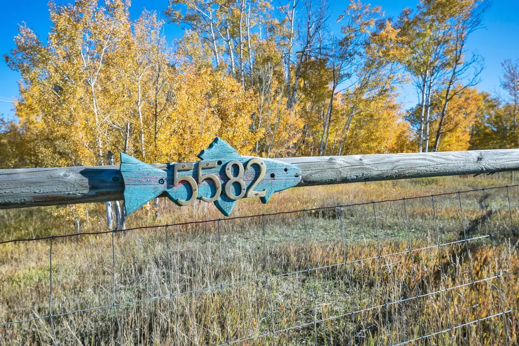 5582 Klements Lane Florence MT 59833