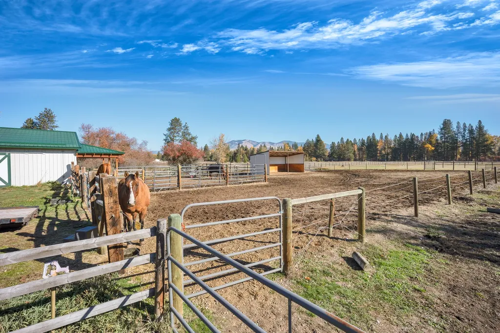 5582 Klements Lane Florence MT 59833