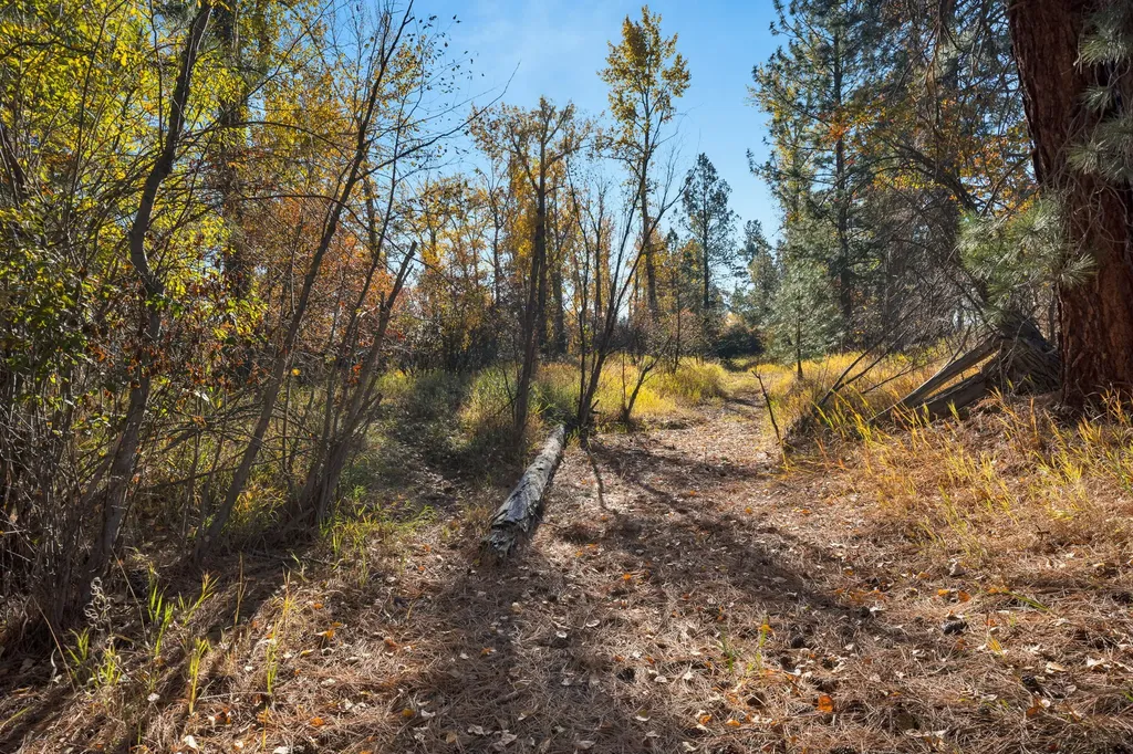 5582 Klements Lane Florence MT 59833