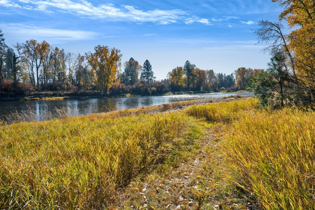 5582 Klements Lane Florence MT 59833