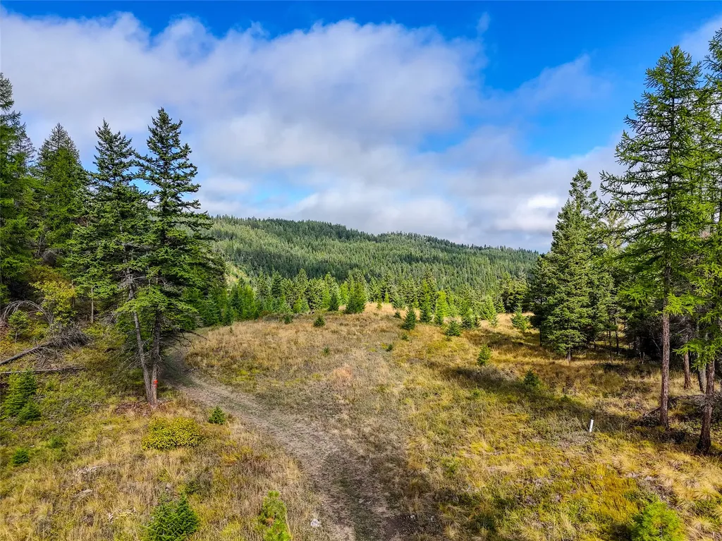 Nhn Buffalo Lane Somers MT 59932