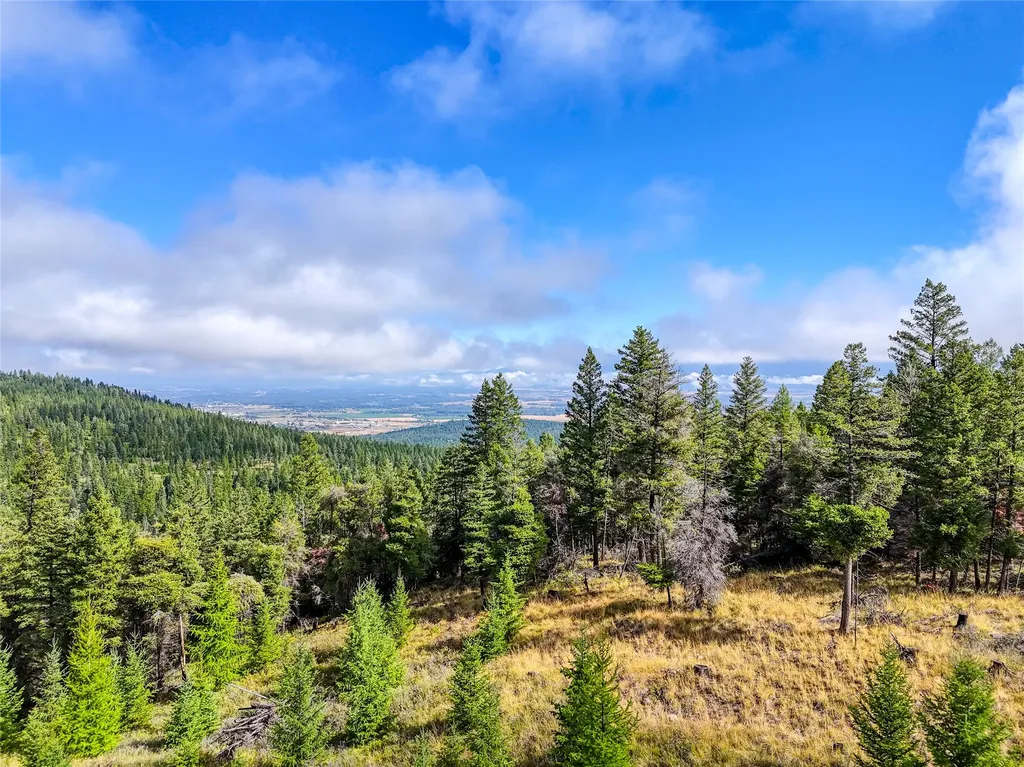 Nhn Buffalo Lane Somers MT 59932