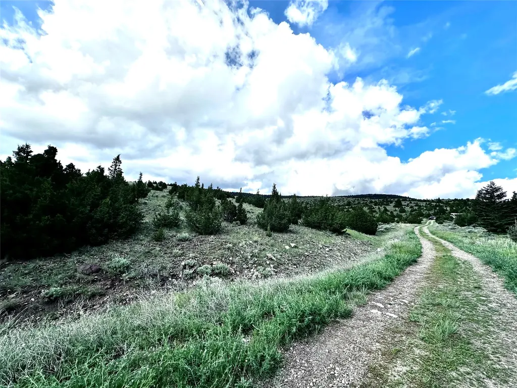 199 Lots In Multiple Locations Virginia City MT 59755