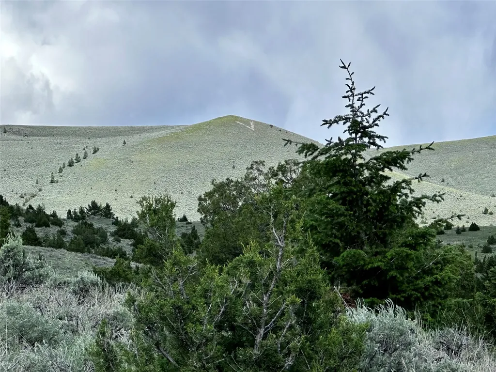 199 Lots In Multiple Locations Virginia City MT 59755