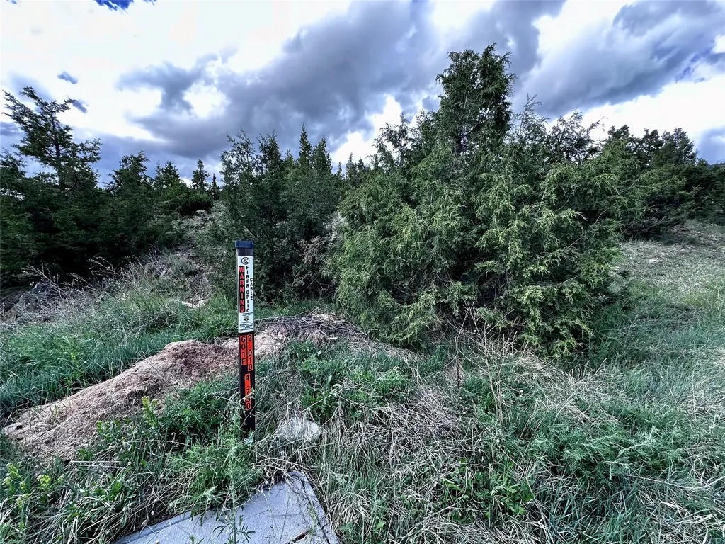 199 Lots In Multiple Locations Virginia City MT 59755