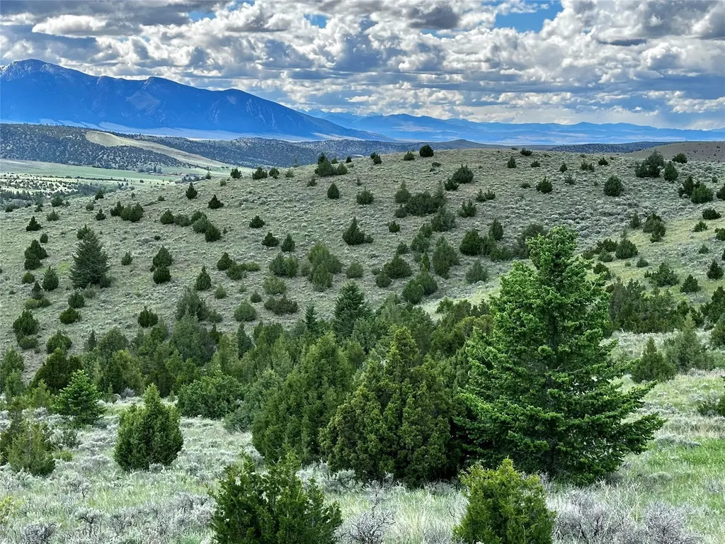 199 Lots In Multiple Locations Virginia City MT 59755