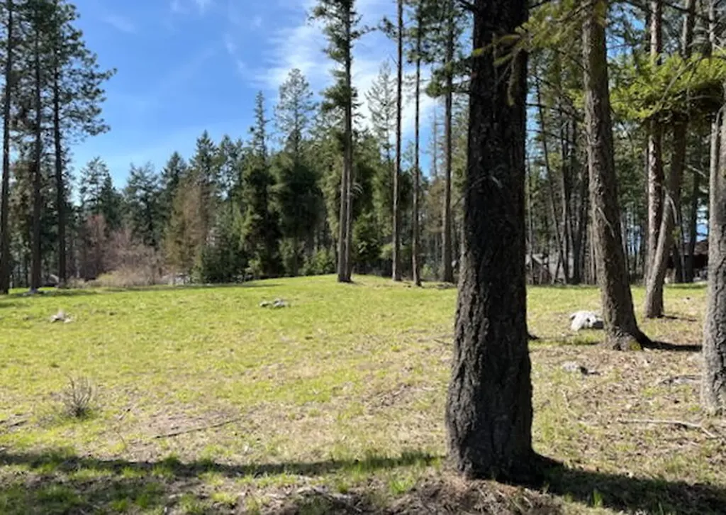 13962 Pine Street Bigfork MT 59911
