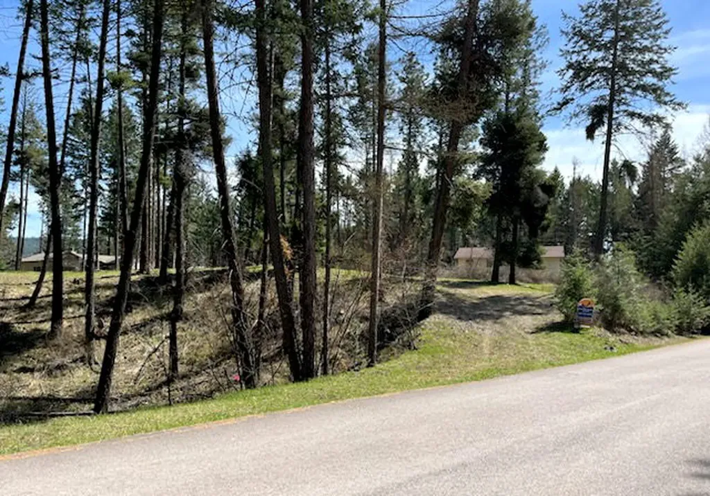13962 Pine Street Bigfork MT 59911