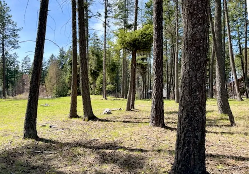 13962 Pine Street Bigfork MT 59911