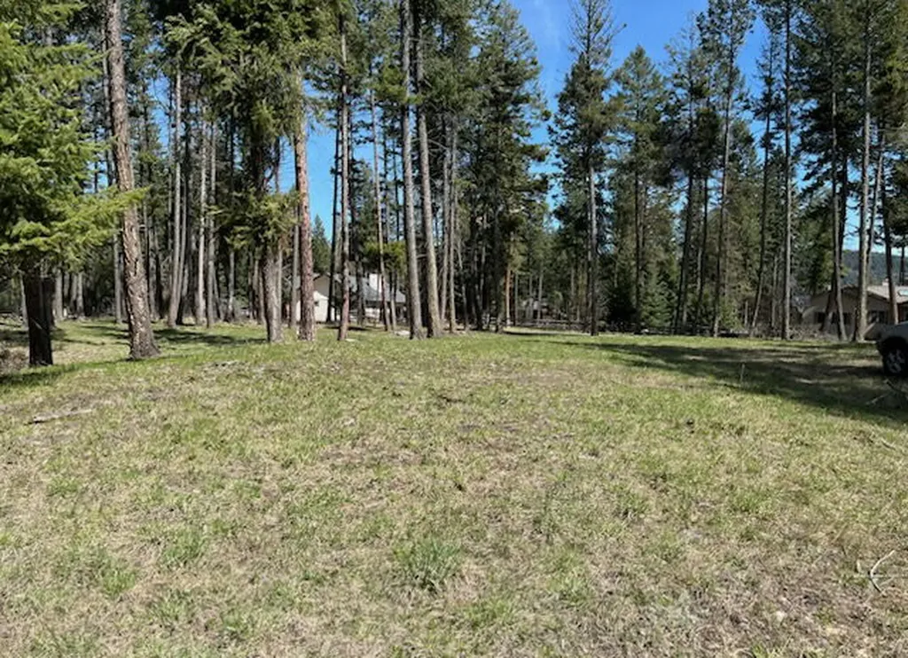 13962 Pine Street Bigfork MT 59911