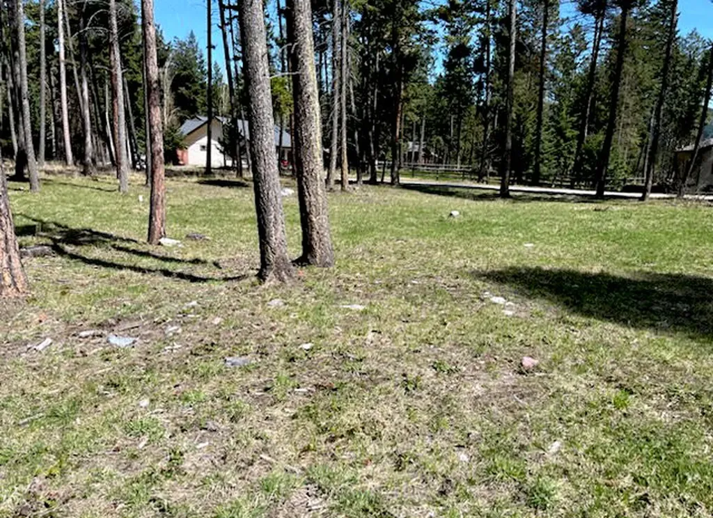13962 Pine Street Bigfork MT 59911